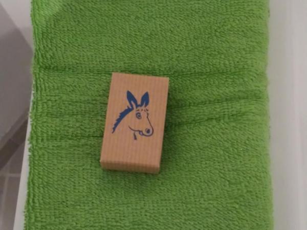 Les Ânes de Forcalquier : photo 7 de la chambre chambre quadruple confort