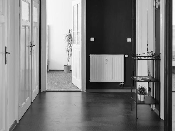 Stodolní Apartment : photo 7 de la chambre chambre double avec salle de bains commune