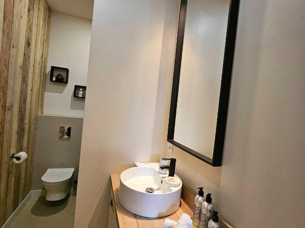 La Maison Grivolas Appartements et Maison d'hôtes : photo 10 de la chambre appartement - vue sur piscine