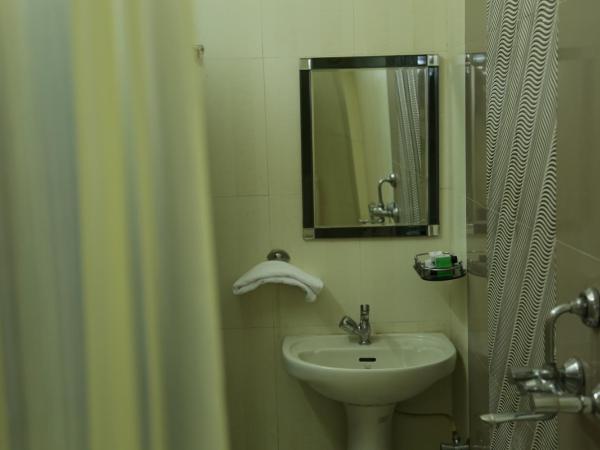 Hotel Meenakshi Udaipur - Family Preffered Hotel : photo 1 de la chambre chambre double standard avec ventilateur