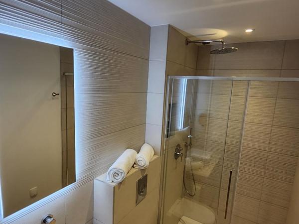 Le Royal Hôtel Restaurant : photo 4 de la chambre studio standard