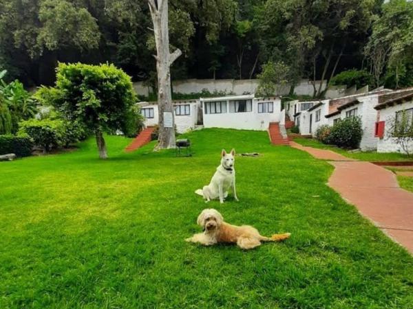 Club Santa Maria : photo 10 de la chambre chambre double