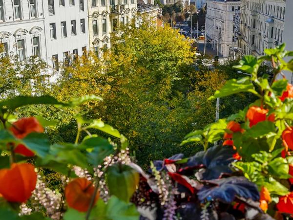 Boutiquehotel Das Tyrol : photo 5 de la chambre studio