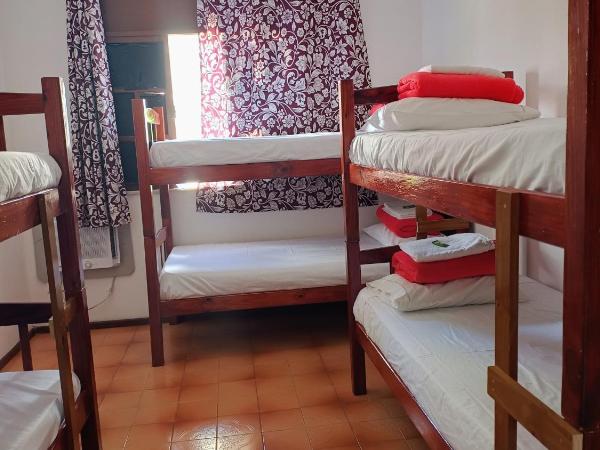 Hostel My Place Hospedaria : photo 2 de la chambre lit superposé dans dortoir mixte