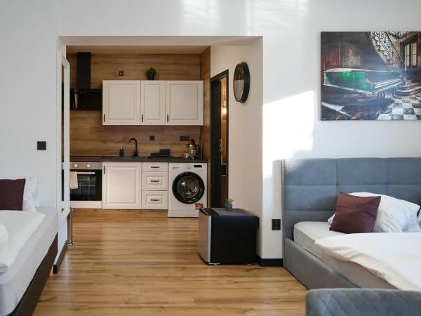 U Šípků : photo 4 de la chambre appartement standard