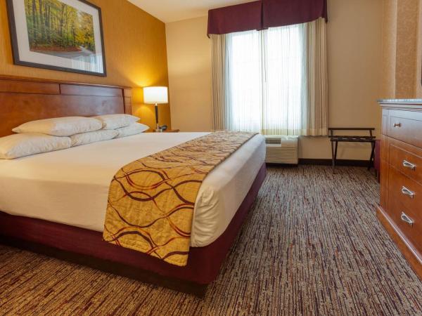 Drury Inn & Suites Indianapolis Northeast : photo 1 de la chambre suite lit king-size avec canapé-lit