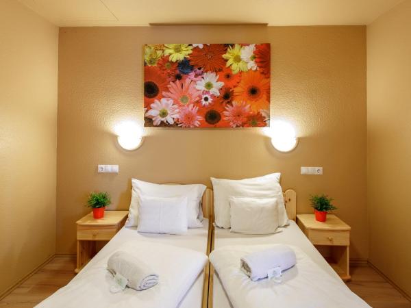 Hotel Karin : photo 2 de la chambre appartement (2 adultes)