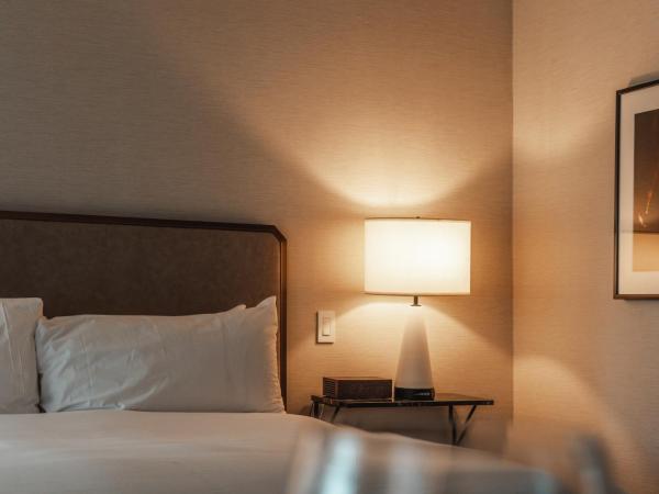 The Talbott Hotel : photo 6 de la chambre chambre standard lit queen-size