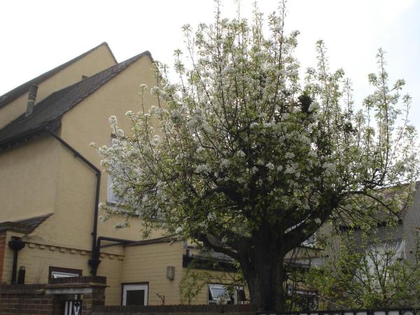 Compton Guest House : photo 3 de la chambre chambre double