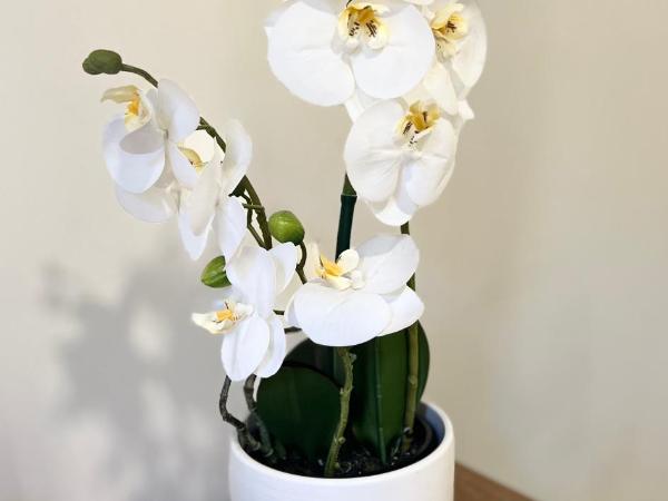 Studette de 17m2 avec parking privé gratuit Climatisation et petite cuisine : photo 2 de la chambre chambre double avec salle de bains privative