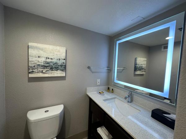 Comfort Inn Dallas North Love Field Airport : photo 4 de la chambre chambre lit king-size avec douche accessible en fauteuil roulant - accessible aux personnes à mobilité réduite - non-fumeurs