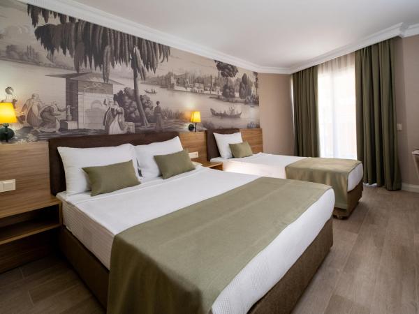 White Gold Hotel & Spa : photo 4 de la chambre chambre double ou lits jumeaux standard