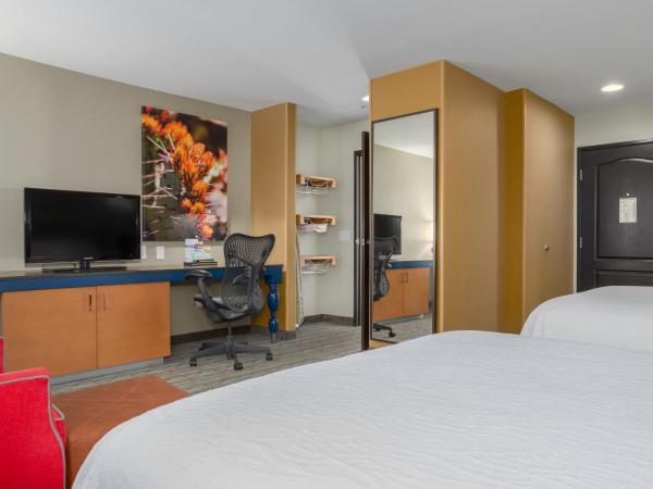 Hilton Garden Inn Phoenix Airport : photo 4 de la chambre chambre lit queen-size - accessible aux personnes à mobilité réduite