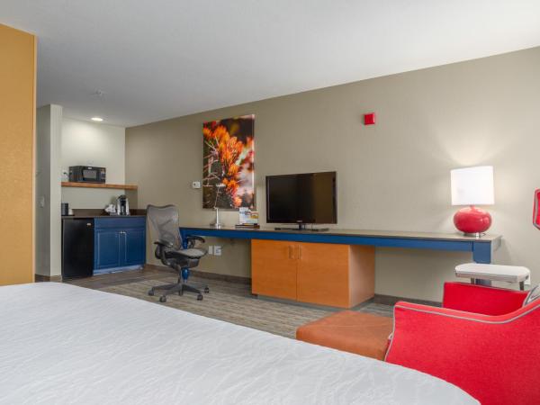 Hilton Garden Inn Phoenix Airport : photo 1 de la chambre chambre lit king-size deluxe