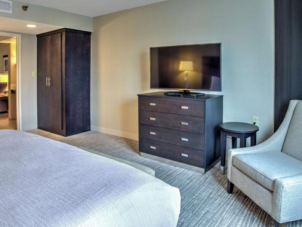 Embassy Suites by Hilton Indianapolis North : photo 3 de la chambre suite lit king-size – non-fumeurs
