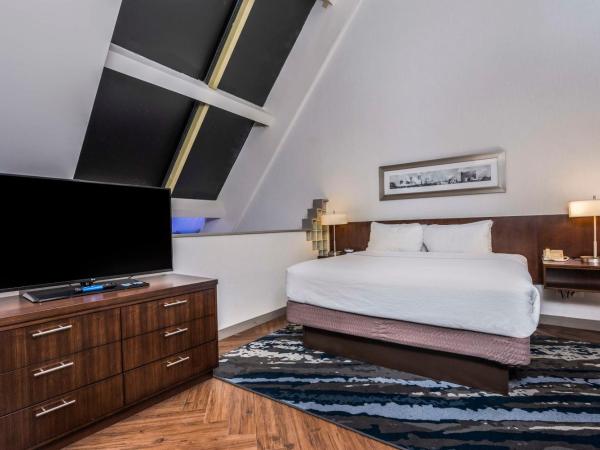 Embassy Suites by Hilton Indianapolis Downtown : photo 4 de la chambre one bedroom two-level suite