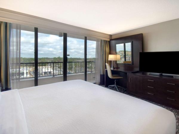 Embassy Suites by Hilton Jacksonville Baymeadows : photo 2 de la chambre chambre lit king-size avec balcon - non-fumeurs