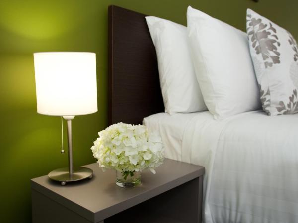 Quest Rotorua Central : photo 5 de la chambre appartement 1 chambre exécutif (réservé aux adultes)