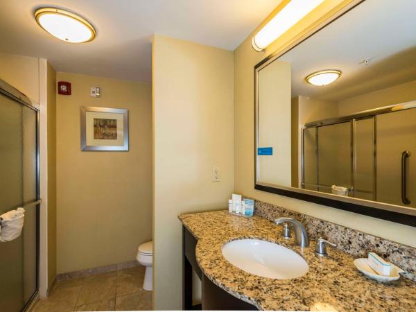 Hampton Inn & Suites Jacksonville South - Bartram Park : photo 2 de la chambre chambre lit king-size - adaptée aux personnes malentendantes - non-fumeurs