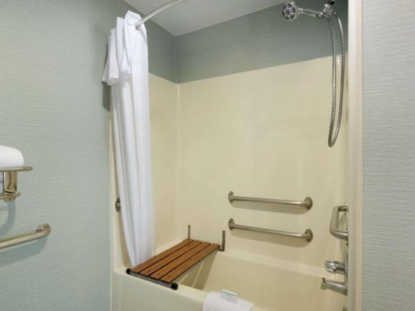 Homewood Suites by Hilton Houston-Westchase : photo 5 de la chambre queen suite with tub - mobility access/non-smoking