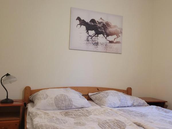 Pension Patanka : photo 6 de la chambre chambre double avec salle de bains privative