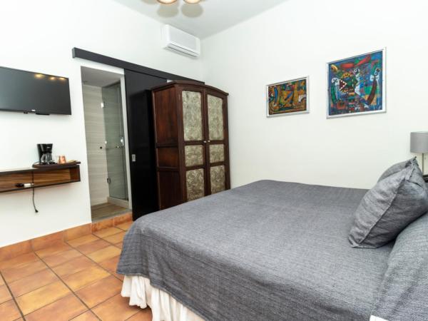 Hotel Boutique Naura Centro : photo 4 de la chambre interior king room