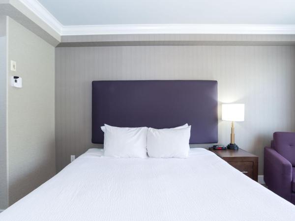 Sandman Hotel & Suites Calgary South : photo 3 de la chambre chambre standard 1 lit king-size 