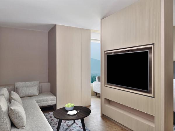 Kathmandu Marriott Hotel : photo 1 de la chambre suite junior avec accès au salon club – vue sur montagne