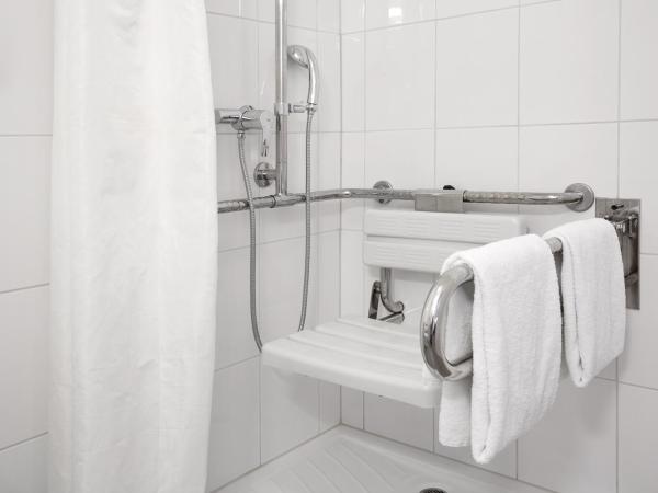 ibis Locarno : photo 6 de la chambre wheelchair accessible room with one double bed