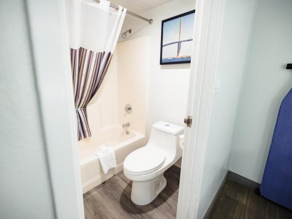 La Quinta Inn by Wyndham Tampa Near Busch Gardens : photo 2 de la chambre chambre double avec 2 lits doubles - non-fumeurs