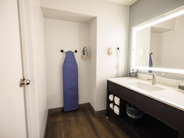 La Quinta Inn by Wyndham Tampa Near Busch Gardens : photo 4 de la chambre chambre lit king-size - non-fumeurs