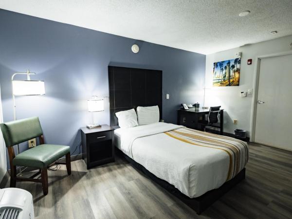 La Quinta Inn by Wyndham Tampa Near Busch Gardens : photo 5 de la chambre chambre double - accessible aux personnes à mobilité réduite - non-fumeurs