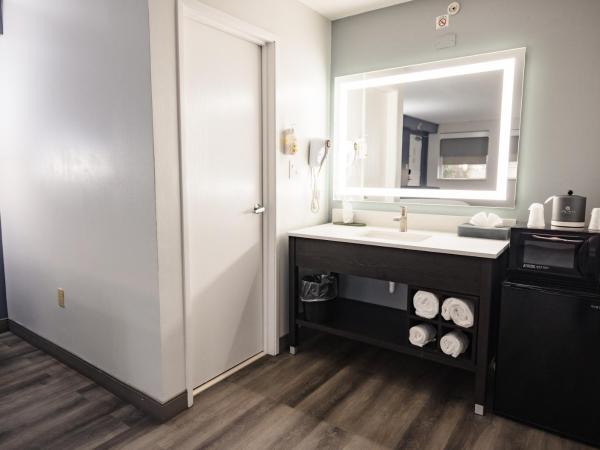 La Quinta Inn by Wyndham Tampa Near Busch Gardens : photo 2 de la chambre hébergement 1 chambre lit king-size - non-fumeurs