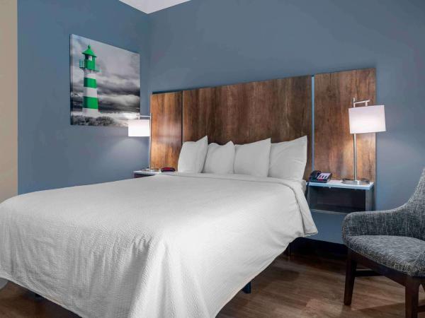 Extended Stay America Premier Suites - Tampa - Fairgrounds - Casino : photo 2 de la chambre studio lit queen-size 