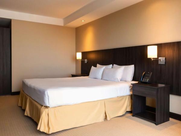 Hilton Mendoza : photo 3 de la chambre chambre lit king-size exécutive avec vue sur montagne