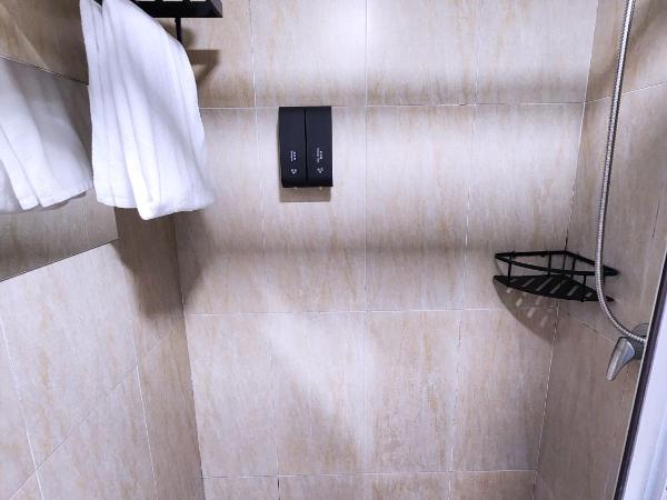 Pillows CoLiving : photo 4 de la chambre grande chambre double 