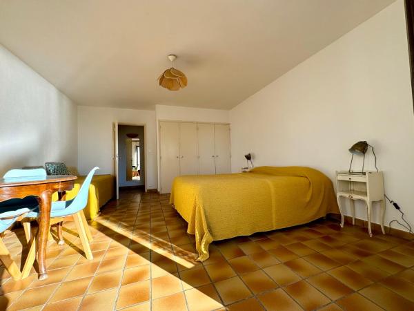 Parc et Résidence le Provençal : photo 5 de la chambre studio avec terrasse