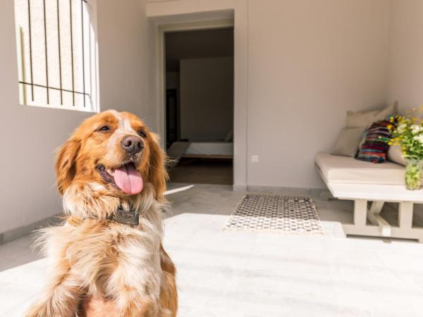 Luna Inn B&B : photo 4 de la chambre chambre double deluxe avec lit d'appoint