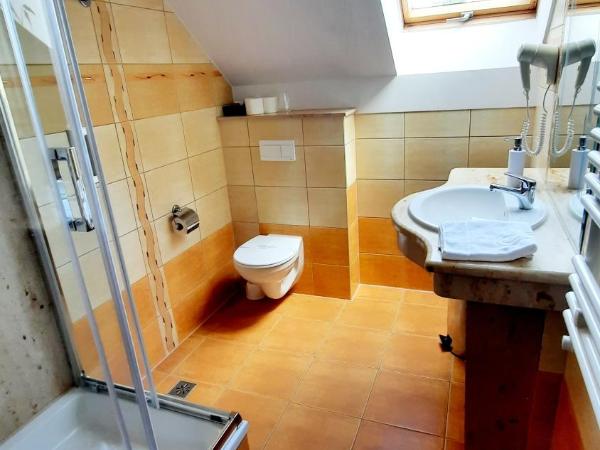 Malachit Karpacz SPA Hotel : photo 7 de la chambre appartement