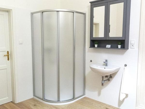 Aparthotel Wenceslas : photo 4 de la chambre appartement supérieur