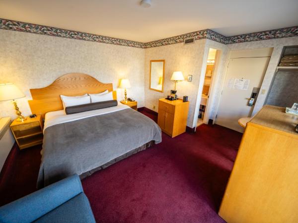 Bow View Lodge : photo 1 de la chambre chambre lit king-size - vue sur montagne