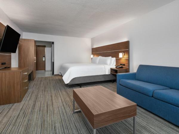Holiday Inn Express - San Antonio East I-10 , an IHG Hotel : photo 4 de la chambre suite lit king-size