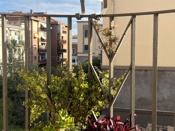 Deodato Guest House : photo 3 de la chambre chambre double standard avec salle de bains commune