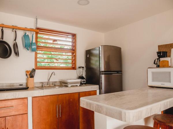 Casa Colibrí Tankah : photo 6 de la chambre studio avec vue sur jardin