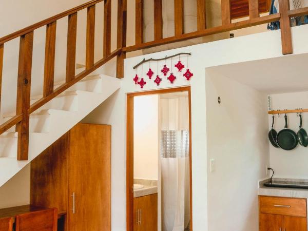 Casa Colibrí Tankah : photo 9 de la chambre studio avec vue sur jardin