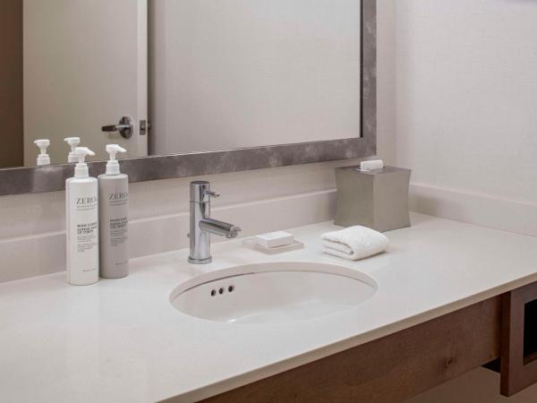 Hilton Garden Inn Downtown Dallas : photo 4 de la chambre chambre lit king-size