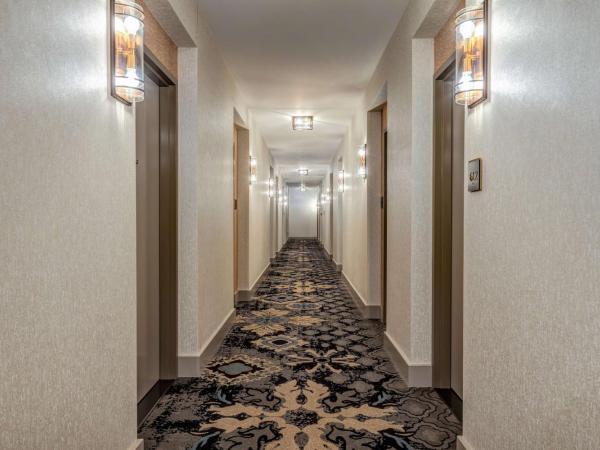 Hilton Garden Inn- Chicago Central Loop : photo 4 de la chambre chambre lit king-size - vue sur ville