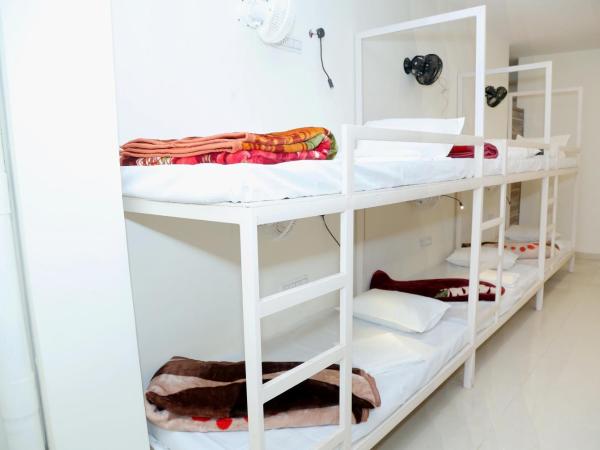 Charlie's Hostel By Purple India : photo 2 de la chambre lit simple dans dortoir à 6 lits