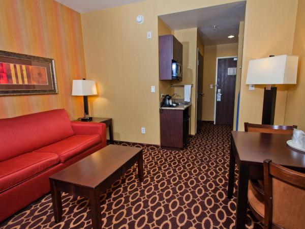 Holiday Inn Express & Suites Sacramento NE Cal Expo, an IHG Hotel : photo 1 de la chambre chambre double avec baignoire spa