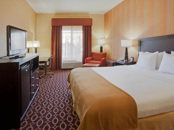 Holiday Inn Express & Suites Sacramento NE Cal Expo, an IHG Hotel : photo 1 de la chambre chambre lit king-size standard